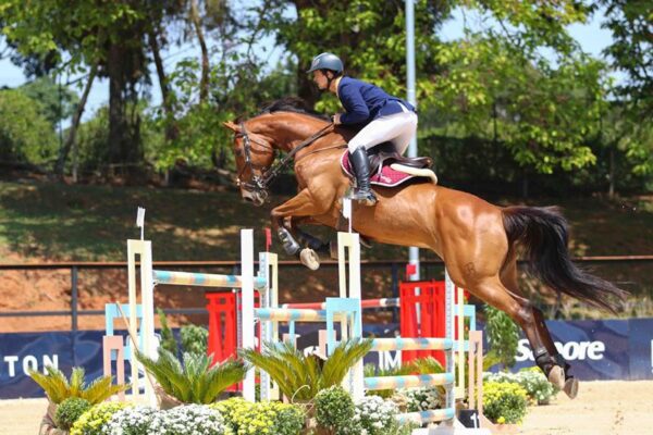 dtc-tour-2021-1-11-600x400