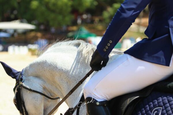 dtc-tour-2021-1-14-600x400